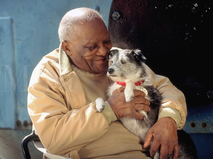 How Can Dogs Help Alzheimer’s Patients?